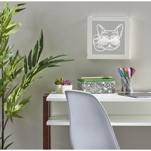 Adesso® Cool Dog Video Light Box-1