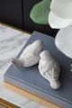 A & B Home Florence de Dampierre 2-Piece Whitewashed Sparrow Bird Accent Set-3