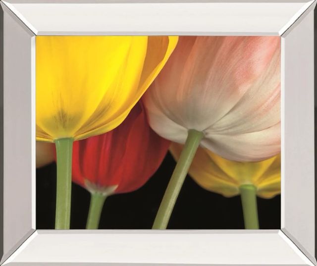 Classy Art Sunshine Tulips by Frank, A. Mirrored Frame Wall Art-0