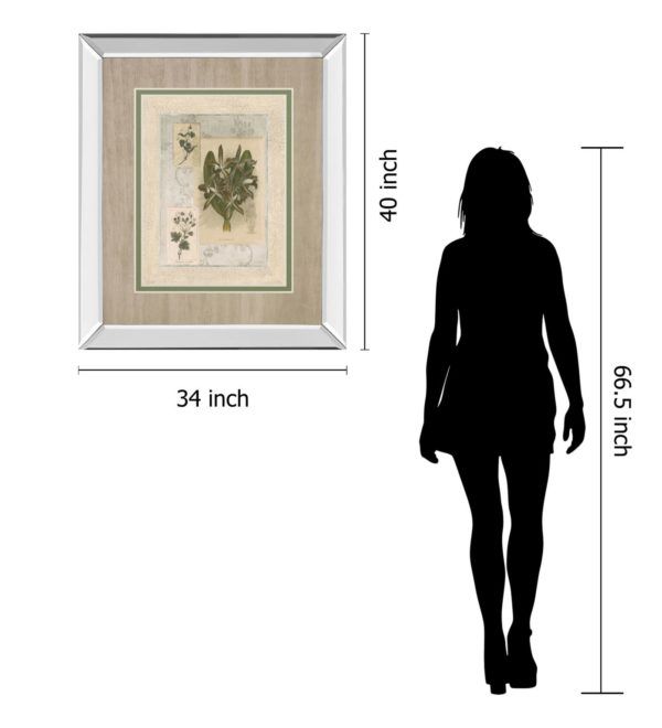 Classy Art Histoire Du Orchid VIl by Carney Wall Art-3