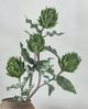 A & B Home Green Artificial Artichoke Stem-4