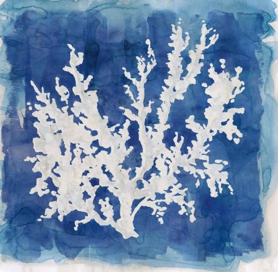 Classy Art Coastal Washes Coral II by Carol Robinson Wall Art-1