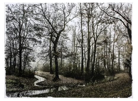 StyleCraft Willow Lawn Creek Wall Art-0
