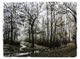 StyleCraft Willow Lawn Creek Wall Art-0