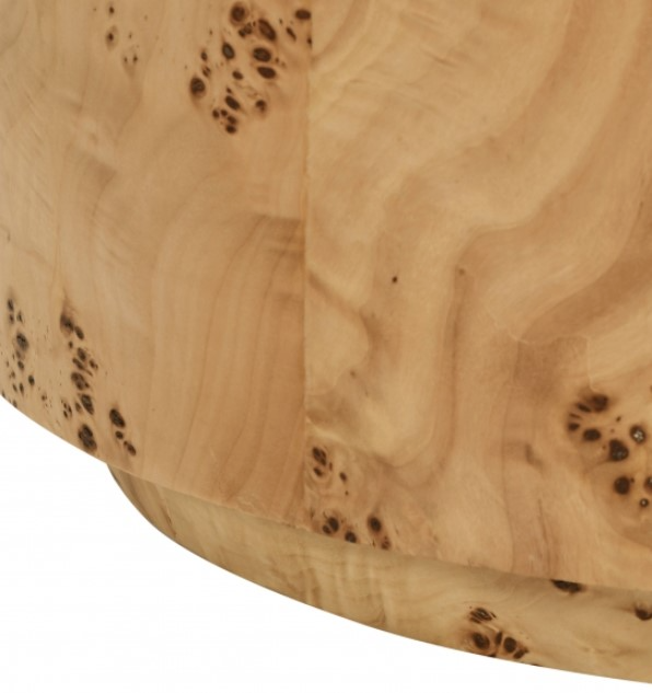 Meridian Furniture Burl End Table - Thumbnail 4