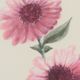 Chelsea House Bradshaw Orrell White Flower Study III-1