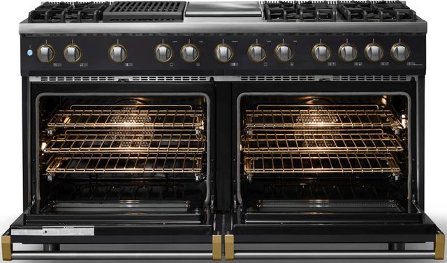 Viking® 5 Series 60" Onyx Pro Style Dual Fuel (LP) Range with Brushed Brass Trim-1