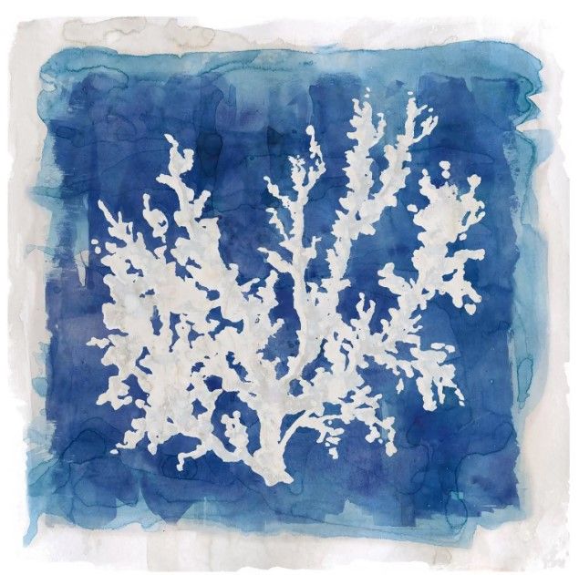 Classy Art Coastal Washes Coral II by Carol Robinson Wall Art-0
