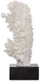 A & B Home White Coral Decorative Object-2