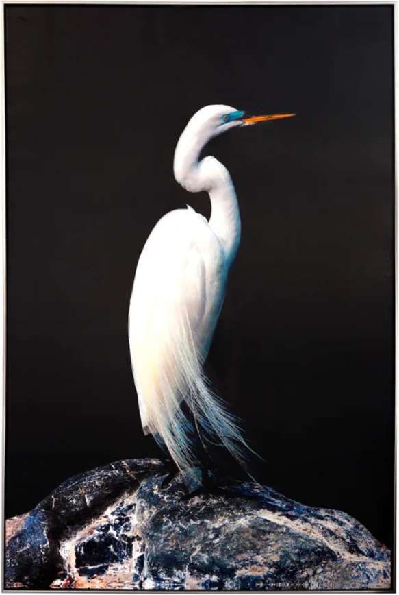 Stylecraft Heron Silhouette Sight Black/White Wall Art -0
