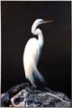 Stylecraft Heron Silhouette Sight Black/White Wall Art -0