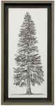 StyleCraft Pacific Northwest Tree Sketch Gray Print Under Glass-0