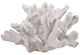 A & B Home White Inna Faux Elkhorn Coral Decorative Object-0