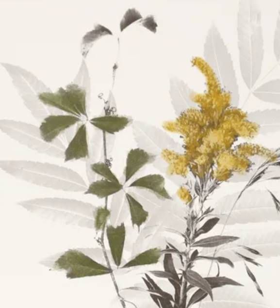 StyleCraft Wild Foliage Brown/Dark Gray/Light Gray Natural Wall Art-1