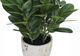 Monarch Specialties Inc. Green/White 31" Tall Artificial Potted Garcinia Tree-1