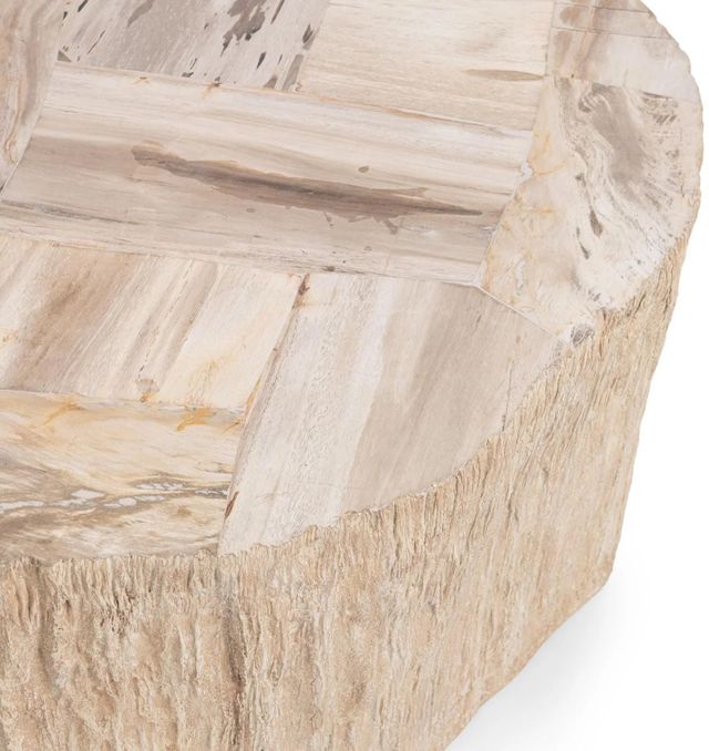 Classic Home Messi Coastal Birch Coffee Table-4