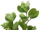 A & B Home Green Eucalyptus Spray-2