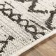Surya Eagean Black/White 4'x6' Area Rug-5