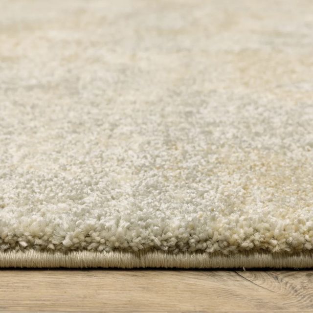 Oriental Weavers™ Astor 5'x8' Style 4 Area Rug-4