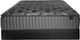 Spring Air® Back Supporter Katrina 16" Hybrid Luxury Firm Tight Top Twin Mattress-2