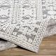 Surya Ariana Gray/White 4'x6' Area Rug-5