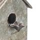 A & B Home Gray Iron Bird House with Drawer and Chain-3