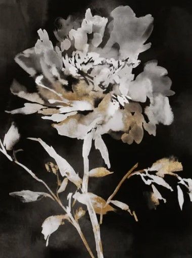 Stylecraft Moody Floral II Black/Brown/Gray/White Wall Art-1