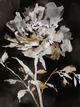 Stylecraft Moody Floral II Black/Brown/Gray/White Wall Art-1