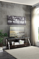 Mazin Furniture Tioga Brushed Chrome TV Stand-2