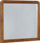 Coaster® Robyn Dark Walnut Dresser Mirror-0