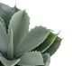 A & B Home Green Potted Plush Cactus-2