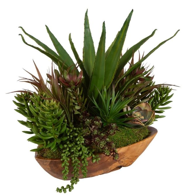 Uttermost® Salar Natural Succulents-2