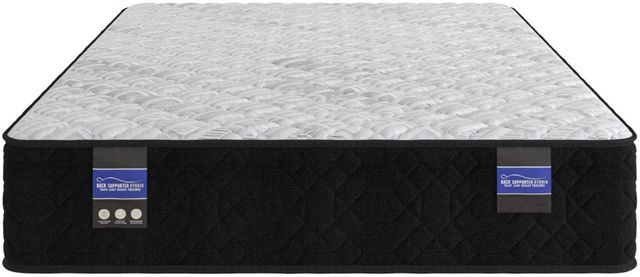 Spring Air® Back Supporter Amelia 12" Hybrid Firm Tight Top Twin XL Mattress-3
