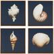 Olliix by Madison Park Ocean Seashells 4 Piece Blue Framed Canvas-0