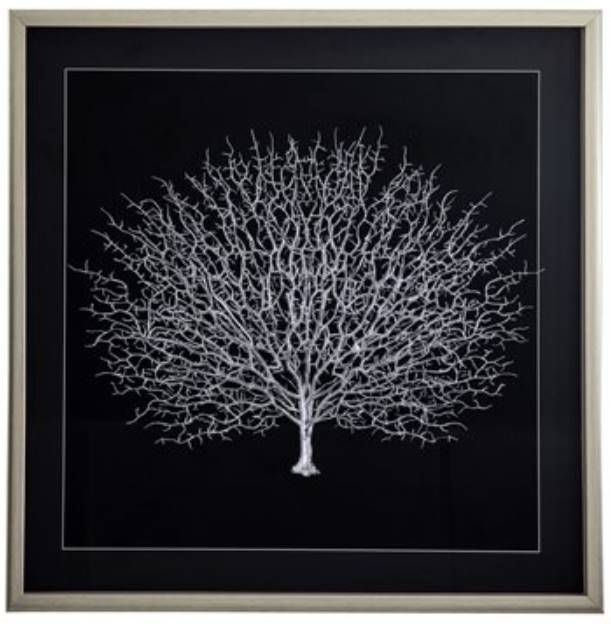 YHD Sea Fan Shadow II Wall Art-0
