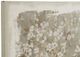 A & B Home Gray/White Large Cherry Blossom Wall Art-3