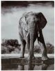 Signature Design by Ashley® Glinyard Wall Art-0
