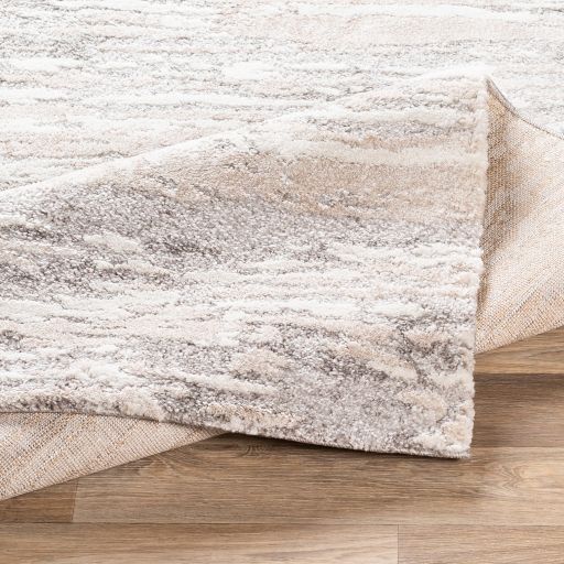 Surya Venice Gray/Ivory 8'x10' Area Rug-2
