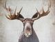 Stylecraft Moose Beige/Black Wall Art-1