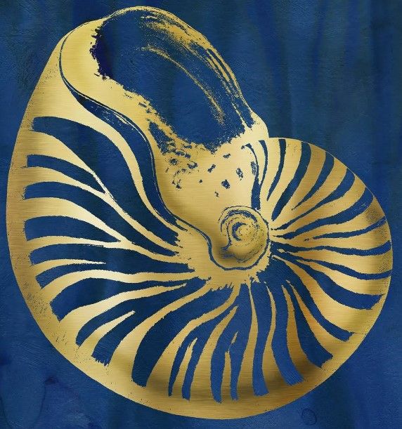 Classy Art Indigo Sea Treasure V by Carol Robinson Wall Art-1