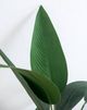 A & B Home Green 45" Birds of Paradise Tree in Pot-1