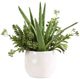 Uttermost® Sundown Succulent Green/White Accent Planter-0
