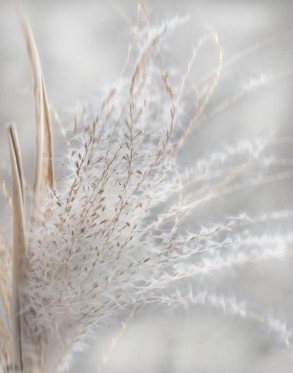 Classy Art Summer Wisps I by Irene Weisz Framed Wall Art-2