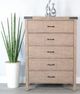 Sunny Designs™ Desert Rock Brown Chest-1