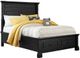 Standard Furniture Annapolis Storage Panel Bed-0