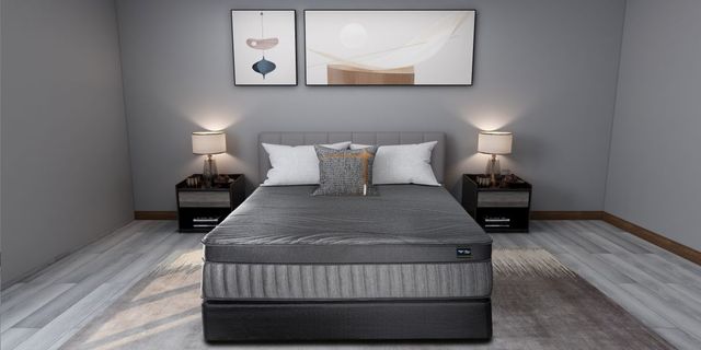 Spring Air® Back Supporter Niki 16" Hybrid Plush Euro Top Queen Mattress-3