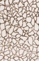 Signature Design by Ashley® Wessonland 5'x7' Medium Area Rug-1