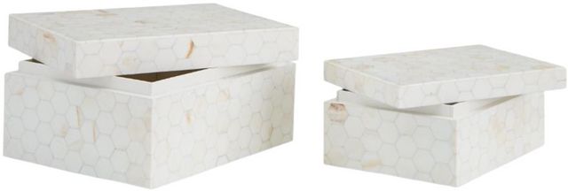 Signature Design by Ashley® Aldenburg 2-Piece Cream Box Set-1