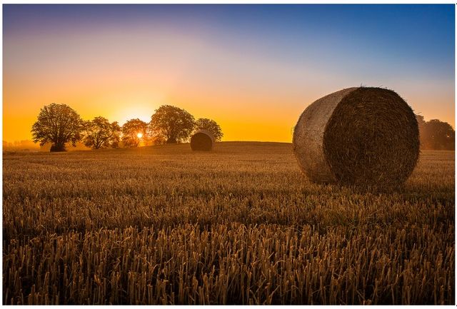 Classy Living Hay Bale Wall Art-0