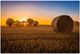 Classy Living Hay Bale Wall Art-0